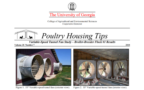 BlueFan Report by Michael Czarick